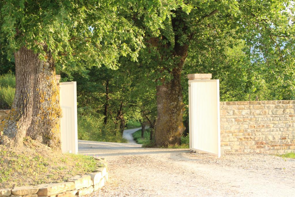 Amico Country House Serra San Quirico Εξωτερικό φωτογραφία