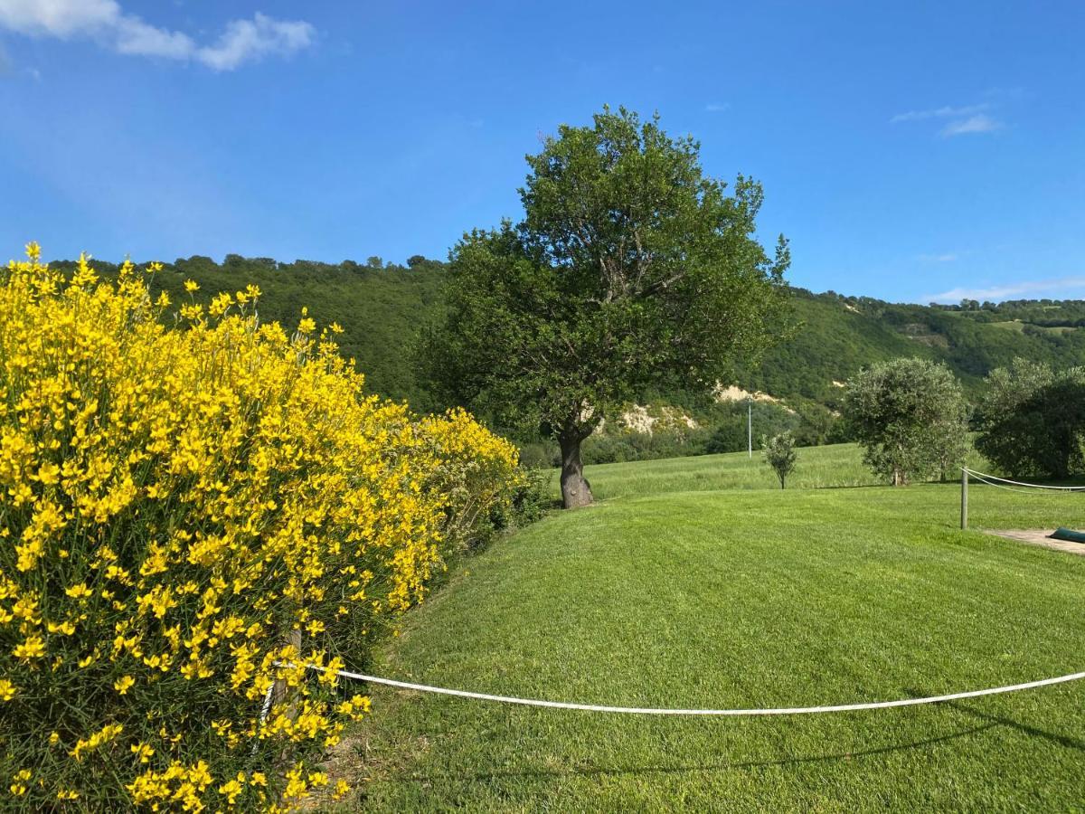 Amico Country House Serra San Quirico Εξωτερικό φωτογραφία