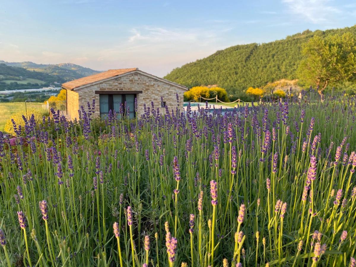 Amico Country House Serra San Quirico Εξωτερικό φωτογραφία
